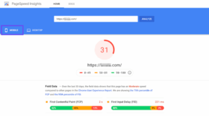 PageSpeed